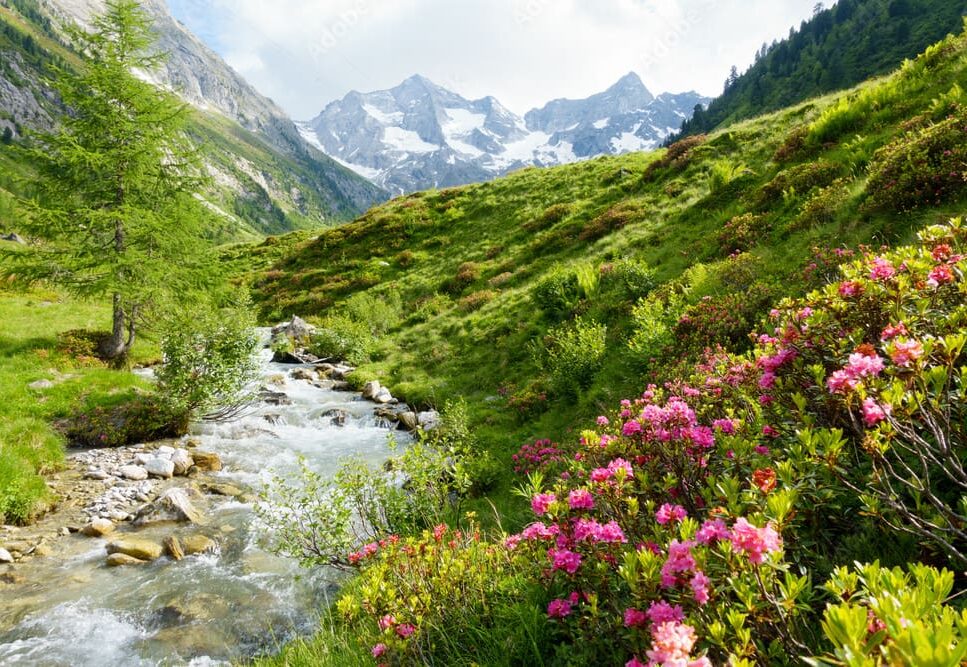 1000_F_99363819_zIGKsZ9D8WrMmz3F5Eeb9F1x6UwebidQ Serene landscape with a flowing stream, vibrant flowers, and mountains, symbolizing renewal and tranquility.