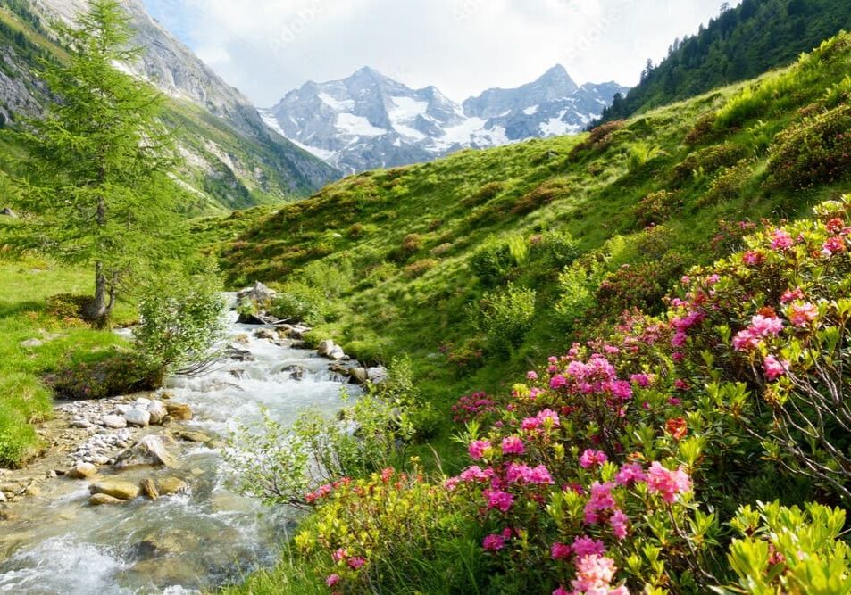 Serene landscape with a flowing stream, vibrant flowers, and mountains, symbolizing renewal and tranquility.